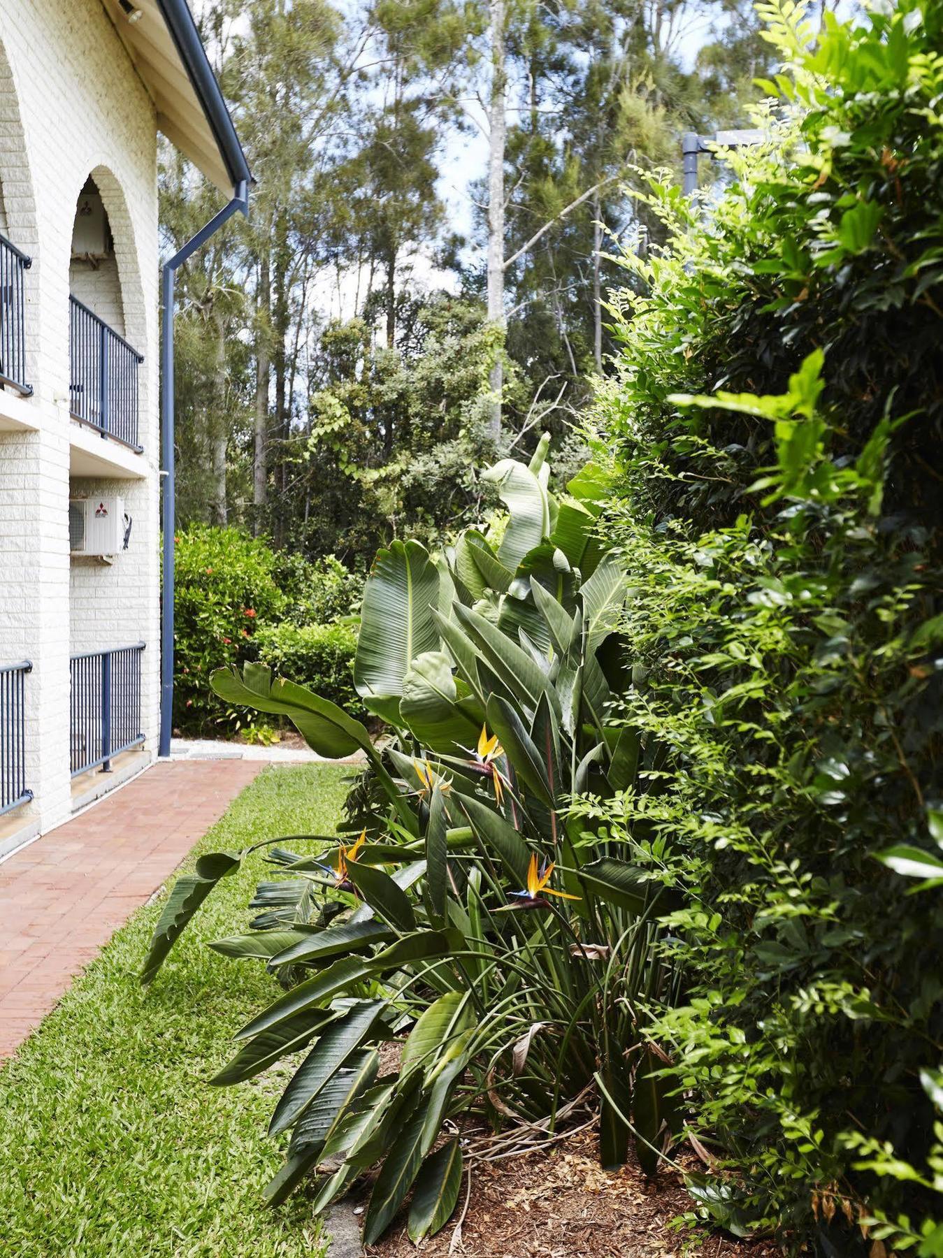Bay Beach Motel Byron Bay Eksteriør bilde